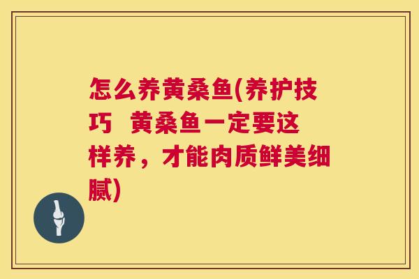 怎么养黄桑鱼(养护技巧 黄桑鱼一定要这样养,才能肉质鲜美细腻) 怎么养黄桑鱼(养护技巧 黄桑鱼一定要这样养,才能肉质鲜美细腻)
