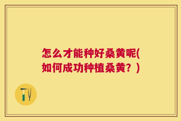 怎么才能种好桑黄呢(如何成功种植桑黄?) 怎么才能种好桑黄呢(如何成功种植桑黄?)