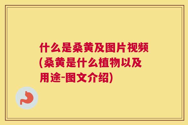 什么是桑黄及图片视频(桑黄是什么植物以及用途-图文介绍) 什么是桑黄及图片视频(桑黄是什么植物以及用途-图文介绍)