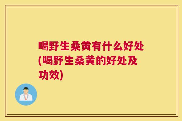喝野生桑黄有什么好处(喝野生桑黄的好处及功效) 喝野生桑黄有什么好处(喝野生桑黄的好处及功效)