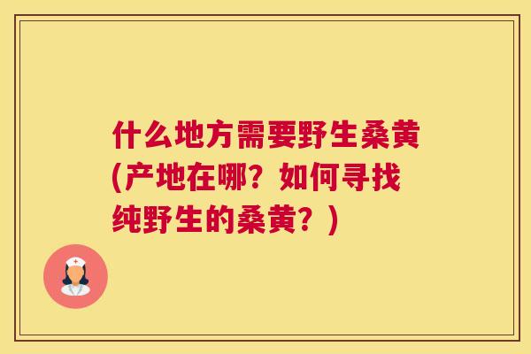 什么地方需要野生桑黄(产地在哪？如何寻找纯野生的桑黄？)