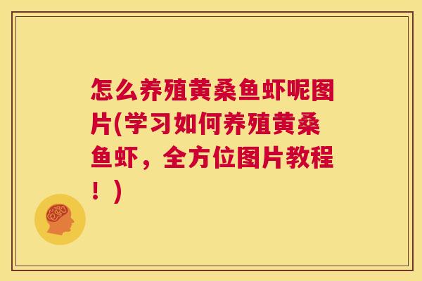 怎么养殖黄桑鱼虾呢图片(学习如何养殖黄桑鱼虾,全方位图片教程!) 怎么养殖黄桑鱼虾呢图片(学习如何养殖黄桑鱼虾,全方位图片教程!)