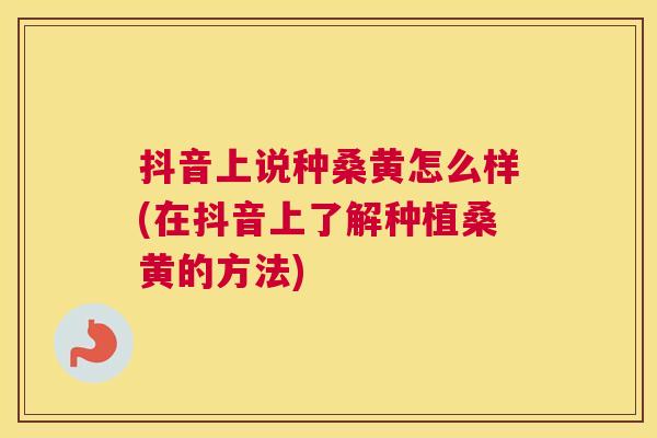 抖音上说种桑黄怎么样(在抖音上了解种植桑黄的方法)