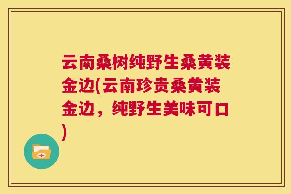 云南桑树纯野生桑黄装金边(云南珍贵桑黄装金边,纯野生美味可口) 云南桑树纯野生桑黄装金边(云南珍贵桑黄装金边,纯野生美味可口)
