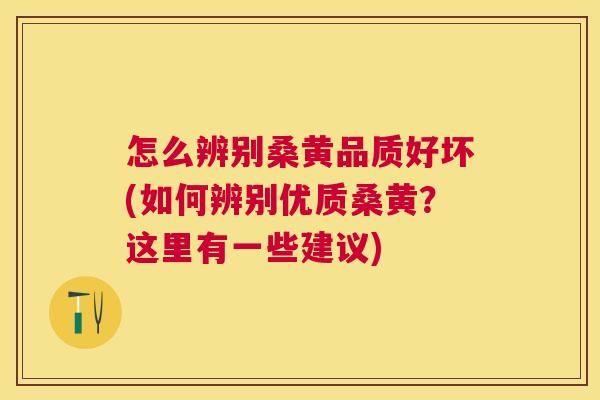 怎么辨别桑黄品质好坏(如何辨别优质桑黄?这里有一些建议) 怎么辨别桑黄品质好坏(如何辨别优质桑黄?这里有一些建议)