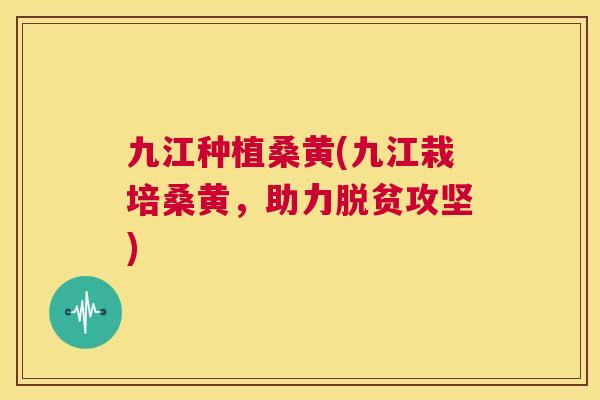 九江种植桑黄(九江栽培桑黄,助力脱贫攻坚) 九江种植桑黄(九江栽培桑黄,助力脱贫攻坚)