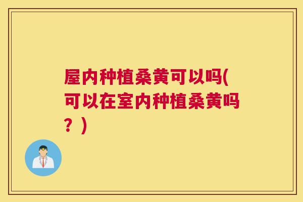 屋内种植桑黄可以吗(可以在室内种植桑黄吗?) 屋内种植桑黄可以吗(可以在室内种植桑黄吗?)