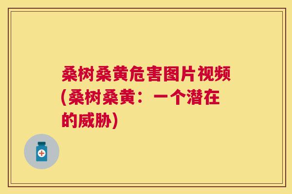桑树桑黄危害图片视频(桑树桑黄:一个潜在的威胁) 桑树桑黄危害图片视频(桑树桑黄:一个潜在的威胁)