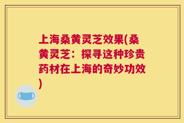 上海桑黄灵芝效果(桑黄灵芝:探寻这种珍贵药材在上海的奇妙功效) 上海桑黄灵芝效果(桑黄灵芝:探寻这种珍贵药材在上海的奇妙功效)