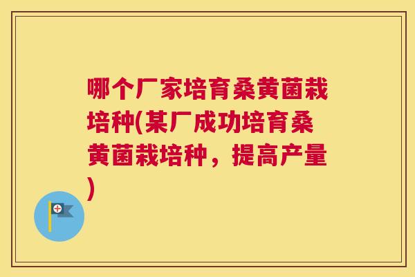 哪个厂家培育桑黄菌栽培种(某厂成功培育桑黄菌栽培种,提高产量) 哪个厂家培育桑黄菌栽培种(某厂成功培育桑黄菌栽培种,提高产量)