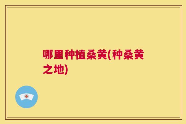 哪里种植桑黄(种桑黄之地) 哪里种植桑黄(种桑黄之地)