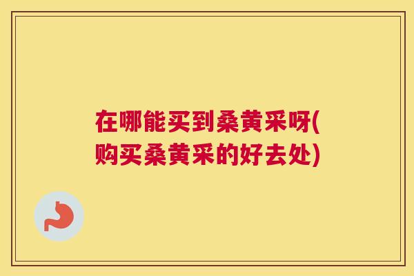 在哪能买到桑黄采呀(购买桑黄采的好去处) 在哪能买到桑黄采呀(购买桑黄采的好去处)