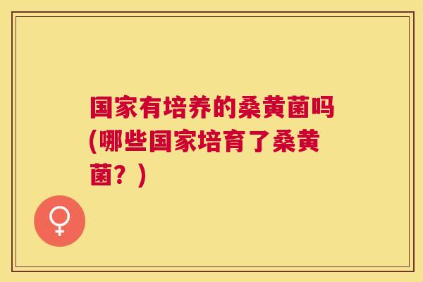 国家有培养的桑黄菌吗(哪些国家培育了桑黄菌?) 国家有培养的桑黄菌吗(哪些国家培育了桑黄菌?)