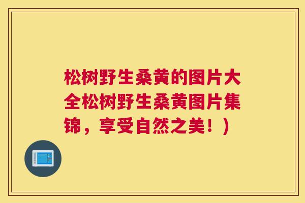 松树野生桑黄的图片大全松树野生桑黄图片集锦,享受自然之美!) 松树野生桑黄的图片大全松树野生桑黄图片集锦,享受自然之美!)