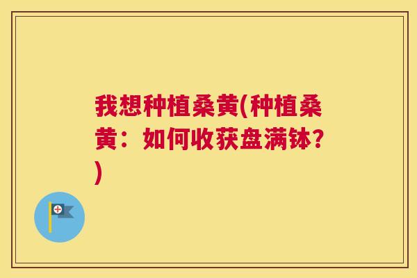 我想种植桑黄(种植桑黄:如何收获盘满钵?) 我想种植桑黄(种植桑黄:如何收获盘满钵?)