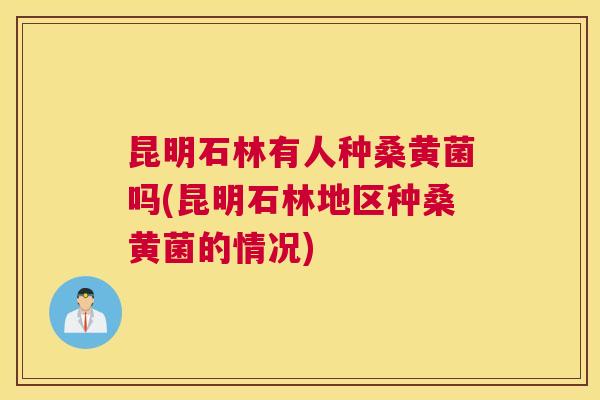昆明石林有人种桑黄菌吗(昆明石林地区种桑黄菌的情况) 昆明石林有人种桑黄菌吗(昆明石林地区种桑黄菌的情况)