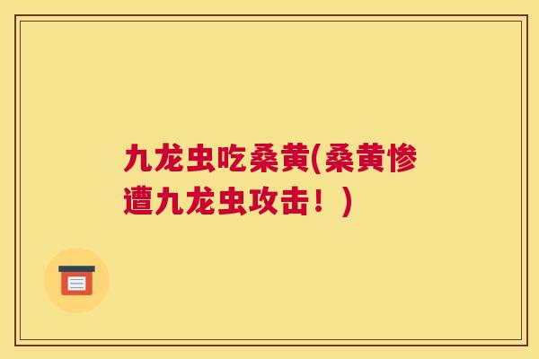 九龙虫吃桑黄(桑黄惨遭九龙虫攻击!) 九龙虫吃桑黄(桑黄惨遭九龙虫攻击!)