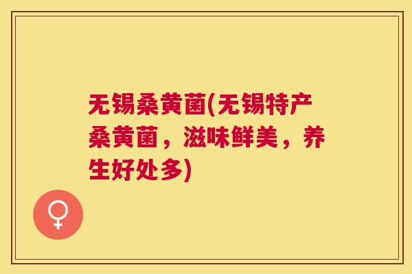 无锡桑黄菌(无锡特产桑黄菌,滋味鲜美,养生好处多) 无锡桑黄菌(无锡特产桑黄菌,滋味鲜美,养生好处多)