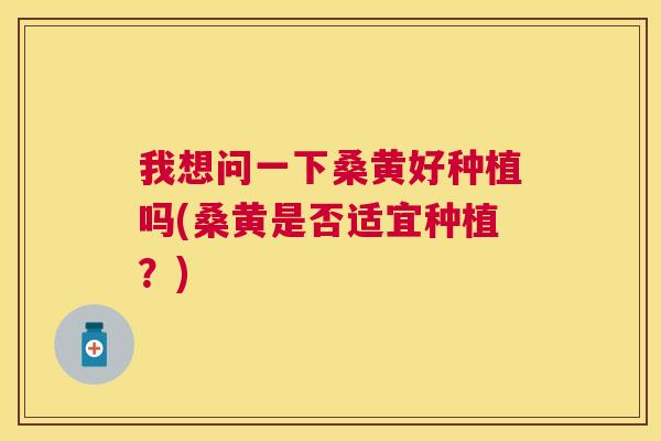 我想问一下桑黄好种植吗(桑黄是否适宜种植?) 我想问一下桑黄好种植吗(桑黄是否适宜种植?)