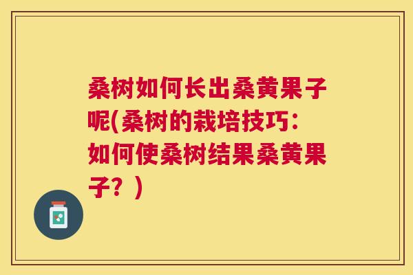 桑树如何长出桑黄果子呢(桑树的栽培技巧:如何使桑树结果桑黄果子?) 桑树如何长出桑黄果子呢(桑树的栽培技巧:如何使桑树结果桑黄果子?)