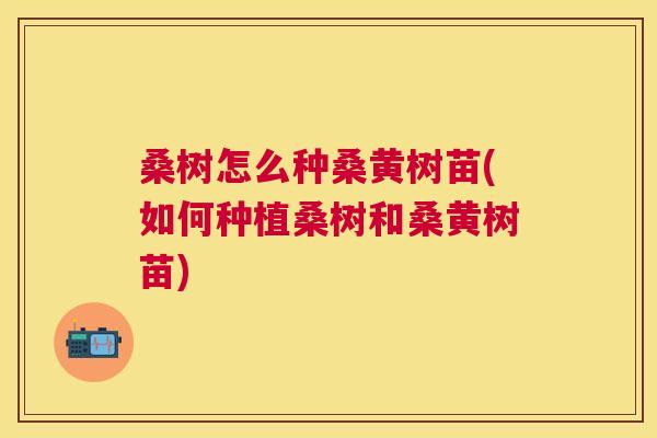 桑树怎么种桑黄树苗(如何种植桑树和桑黄树苗) 桑树怎么种桑黄树苗(如何种植桑树和桑黄树苗)
