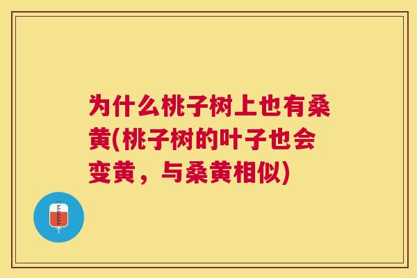为什么桃子树上也有桑黄(桃子树的叶子也会变黄,与桑黄相似) 为什么桃子树上也有桑黄(桃子树的叶子也会变黄,与桑黄相似)