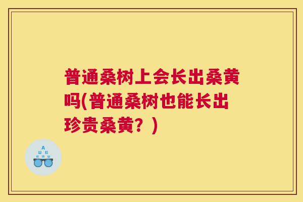 普通桑树上会长出桑黄吗(普通桑树也能长出珍贵桑黄?) 普通桑树上会长出桑黄吗(普通桑树也能长出珍贵桑黄?)