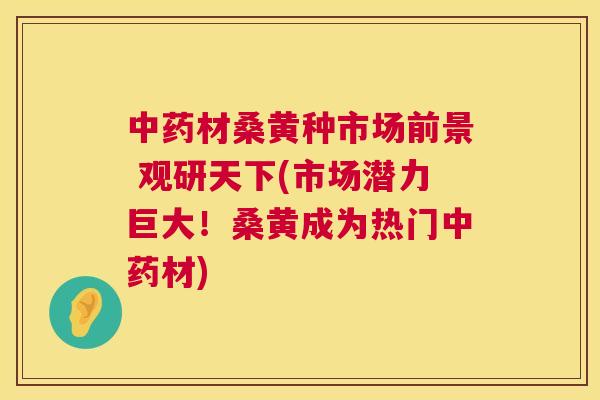 材桑黄种市场前景 观研天下(市场潜力巨大!桑黄成为热门材) 材桑黄种市场前景 观研天下(市场潜力巨大!桑黄成为热门材)