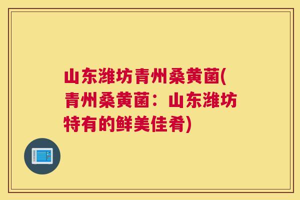山东潍坊青州桑黄菌(青州桑黄菌：山东潍坊特有的鲜美佳肴)