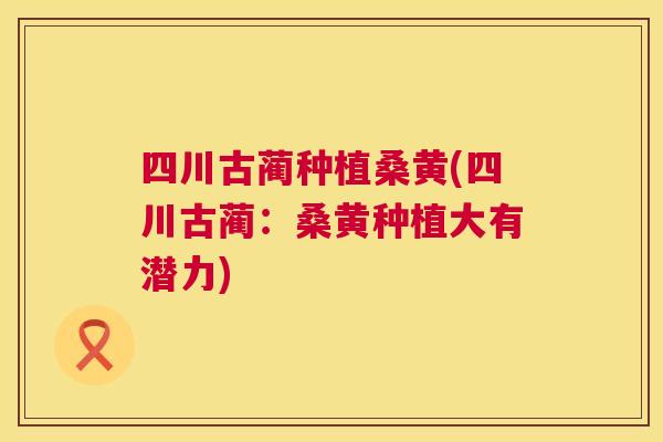 四川古蔺种植桑黄(四川古蔺:桑黄种植大有潜力) 四川古蔺种植桑黄(四川古蔺:桑黄种植大有潜力)