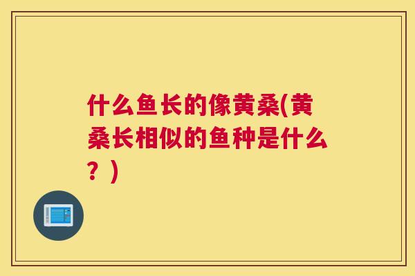 什么鱼长的像黄桑(黄桑长相似的鱼种是什么?) 什么鱼长的像黄桑(黄桑长相似的鱼种是什么?)