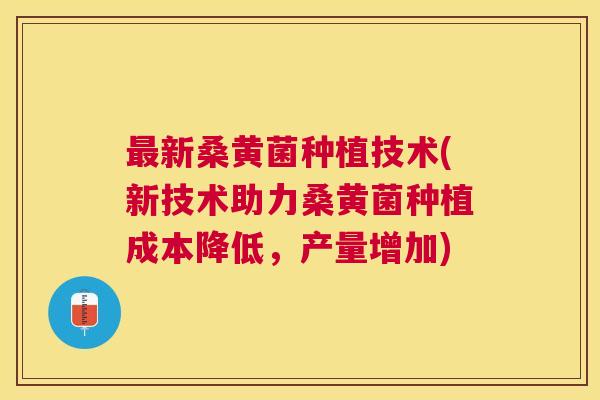 新桑黄菌种植技术(新技术助力桑黄菌种植成本降低,产量增加) 新桑黄菌种植技术(新技术助力桑黄菌种植成本降低,产量增加)