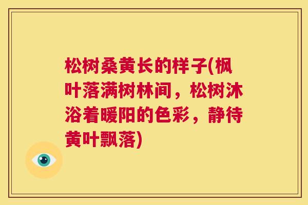 松树桑黄长的样子(枫叶落满树林间,松树沐浴着暖阳的色彩,静待黄叶飘落) 松树桑黄长的样子(枫叶落满树林间,松树沐浴着暖阳的色彩,静待黄叶飘落)
