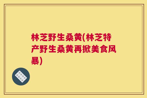 林芝野生桑黄(林芝特产野生桑黄再掀美食风暴)
