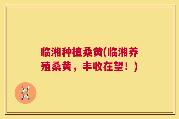 临湘种植桑黄(临湘养殖桑黄,丰收在望!) 临湘种植桑黄(临湘养殖桑黄,丰收在望!)