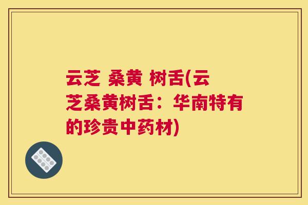 云芝 桑黄 树舌(云芝桑黄树舌:华南特有的珍贵材) 云芝 桑黄 树舌(云芝桑黄树舌:华南特有的珍贵材)