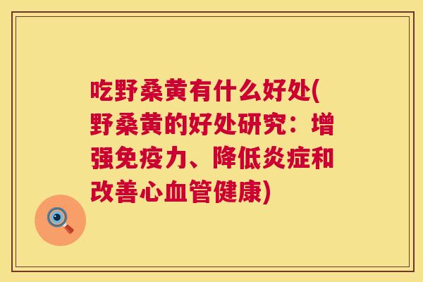 吃野桑黄有什么好处(野桑黄的好处研究:增强力、降低和改善心健康) 吃野桑黄有什么好处(野桑黄的好处研究:增强力、降低和改善心健康)