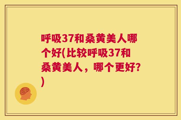 37和桑黄美人哪个好(比较37和桑黄美人,哪个更好?) 37和桑黄美人哪个好(比较37和桑黄美人,哪个更好?)
