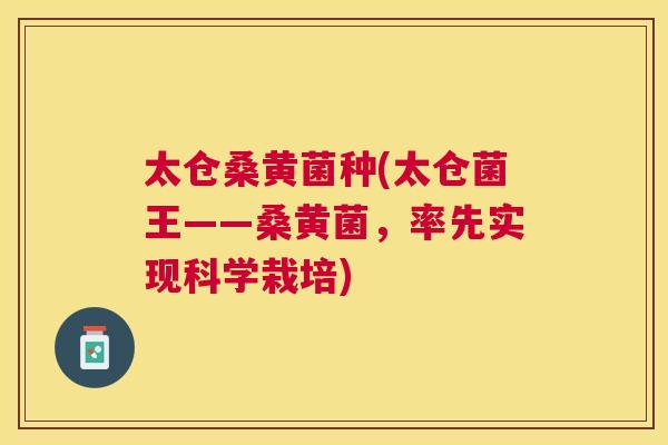 太仓桑黄菌种(太仓菌王——桑黄菌,率先实现科学栽培) 太仓桑黄菌种(太仓菌王——桑黄菌,率先实现科学栽培)