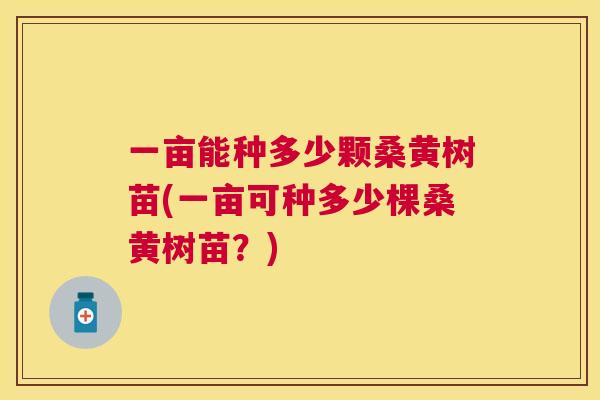 一亩能种多少颗桑黄树苗(一亩可种多少棵桑黄树苗?) 一亩能种多少颗桑黄树苗(一亩可种多少棵桑黄树苗?)