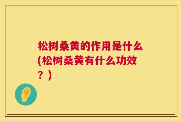 松树桑黄的作用是什么(松树桑黄有什么功效?) 松树桑黄的作用是什么(松树桑黄有什么功效?)