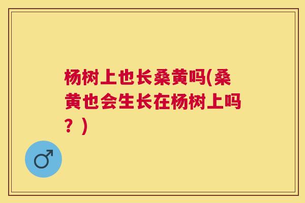 杨树上也长桑黄吗(桑黄也会生长在杨树上吗?) 杨树上也长桑黄吗(桑黄也会生长在杨树上吗?)