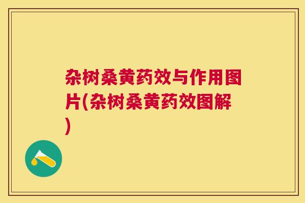 杂树桑黄与作用图片(杂树桑黄图解) 杂树桑黄与作用图片(杂树桑黄图解)