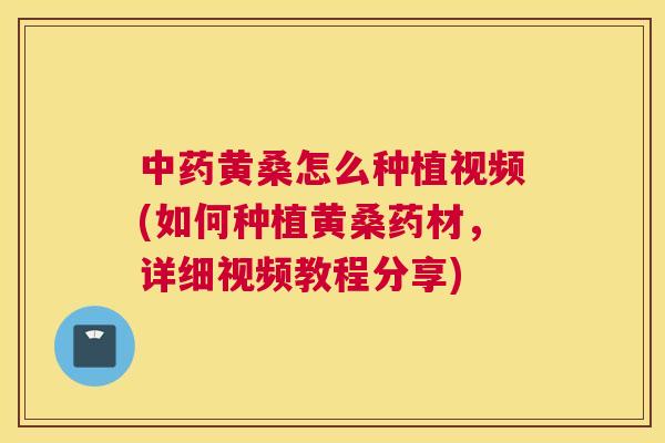 黄桑怎么种植视频(如何种植黄桑药材,详细视频教程分享) 黄桑怎么种植视频(如何种植黄桑药材,详细视频教程分享)