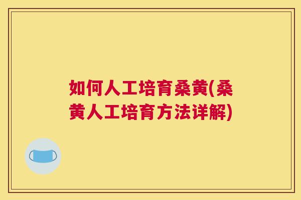 如何人工培育桑黄(桑黄人工培育方法详解) 如何人工培育桑黄(桑黄人工培育方法详解)