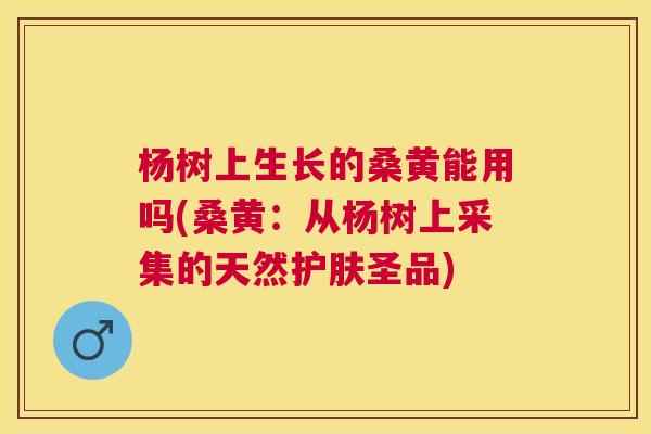 杨树上生长的桑黄能用吗(桑黄:从杨树上采集的天然护肤圣品) 杨树上生长的桑黄能用吗(桑黄:从杨树上采集的天然护肤圣品)