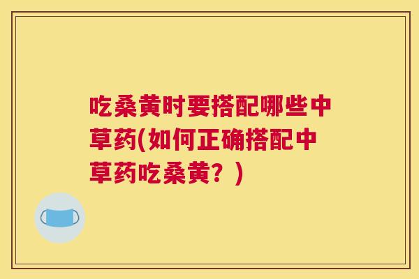 吃桑黄时要搭配哪些中草药(如何正确搭配中草药吃桑黄?) 吃桑黄时要搭配哪些中草药(如何正确搭配中草药吃桑黄?)