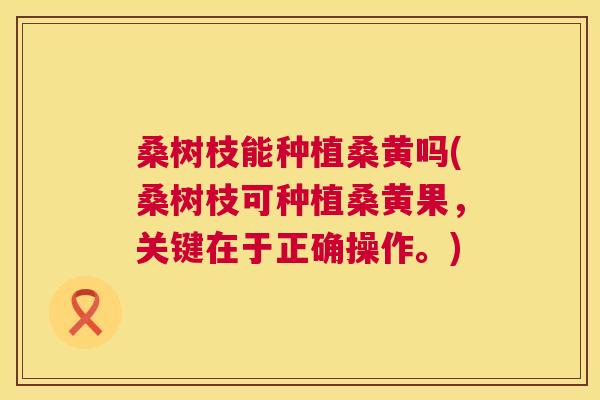 桑树枝能种植桑黄吗(桑树枝可种植桑黄果,关键在于正确操作。) 桑树枝能种植桑黄吗(桑树枝可种植桑黄果,关键在于正确操作。)