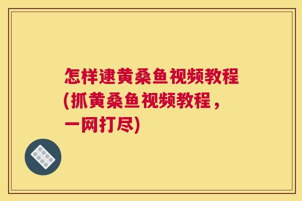 怎样逮黄桑鱼视频教程(抓黄桑鱼视频教程,一网打尽) 怎样逮黄桑鱼视频教程(抓黄桑鱼视频教程,一网打尽)