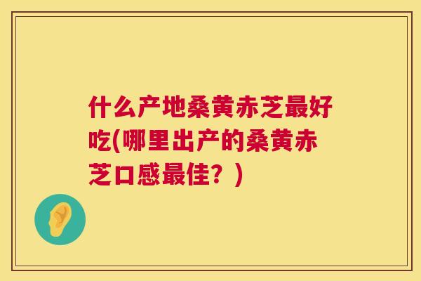 什么产地桑黄赤芝好吃(哪里出产的桑黄赤芝口感佳？)